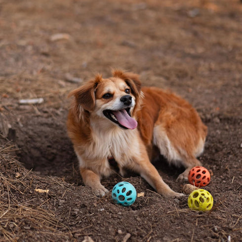 Messy Mutts Totally Pooched Huff'n Puff Ball, 2.5” TPR Puzzle Ball for Dogs, Durable Interactive Toy