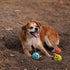 Messy Mutts Totally Pooched Huff'n Puff Ball, 2.5” TPR Puzzle Ball for Dogs, Durable Interactive Toy