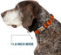 Dog Collar with Seatbelt Buckle - Tigger Stripes Orange Black, 18 to 32 Inches, 1.5 Inch Wide
