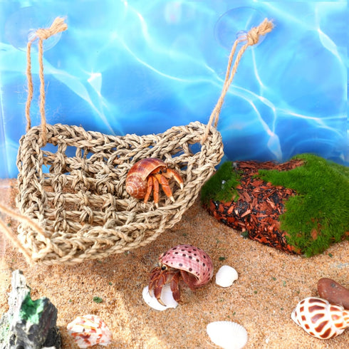 Fiwochic 14 Pcs Hermit Crab Accessories Natural Hermit Crab Toys Coconut Shell Hideout Climbing Bridge Moss Stick