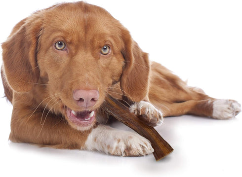 Cadet 100% Beef Strips Dog Chew Sticks, Long-Lasting Natural Treats, 8 oz