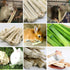 500g Chinchilla BWOGUE Pet Snacks Sweet Bamboo Chew Toy for Squirrel Rabbits Guinea Pigs Hamster