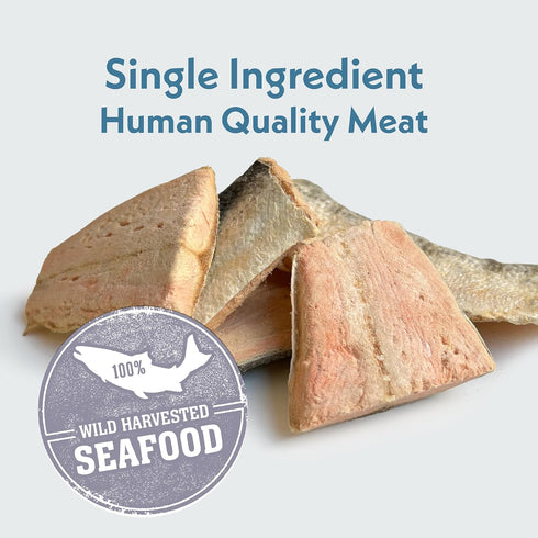 Fresh Is Best Salmon Fillets Freeze Dried Dog Treats Raw Freeze Dried Fish for Cats & Canines in Resealable Zipper Bag