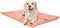 36" Charlie Salmon Orange Crate Dog Bed Mat by Majestic Pet Products