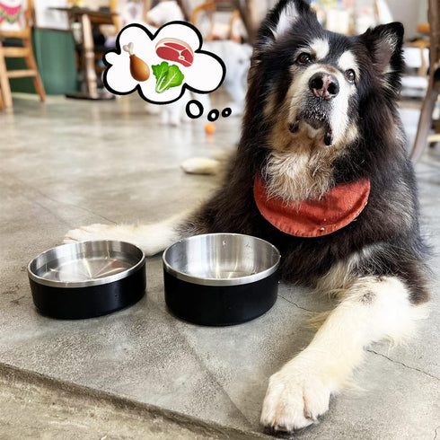 LIHONG Dog Bowls, 64oz Stainless Steel for Large Dogs, Non-Slip Rubber Bottom, Double Wall Insulated, Rustproof, Black