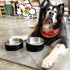 LIHONG Dog Bowls, Stainless Steel Non-Slip Insulated Bowl for Small Medium Dogs, Rustproof (40oz, Black)