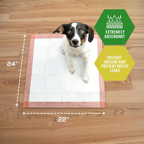 MED PRIDE Dog Training Pads, Pack of 125, Ultra-Absorbent Disposable Puppy Potty Pee Pads, Leakproof & Waterproof