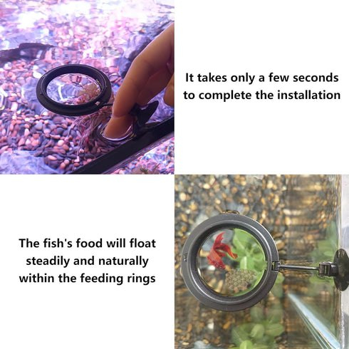 FREESEA Fish Feeding Ring for Aquarium: Round Floating Food Rings for Betta Turtle Tank