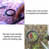 FREESEA Fish Feeding Ring for Aquarium: Round Floating Food Rings for Betta Turtle Tank