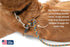 The Walkie No Pull Dog Leash - Gentle, Effective, Encourages Loose Leash Walking - Made in USA, Brown, Size Large for