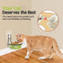 Elevated Cat Bowls, Wall Mounted Stainless Steel Food Dish, Nonslip No Spill Pet Feeding Bowls (2 Packs, Green)