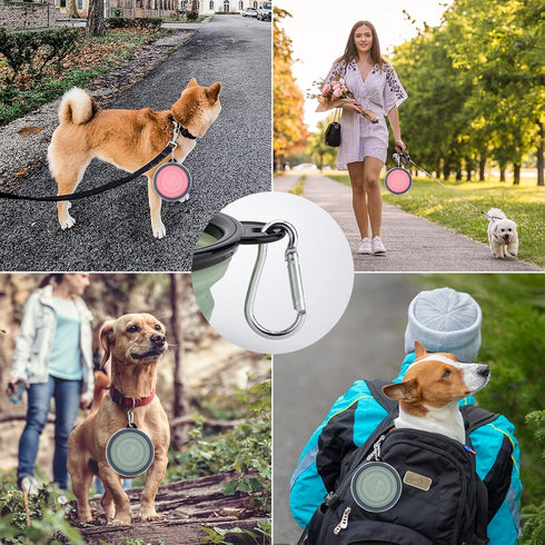 SLSON Collapsible Pet Feeder - 2 Pack Dog Bowls with Cover Lids, Portable Foldable Cat Water Dish, Fairy Pink & Sprout