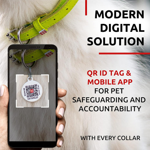 WAUDOG Ultra Soft Rolled Leather Dog Collar - Padded Collars for Small, Medium, Large Dogs - Male and Female