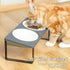 Sunhoo Ceramic Elevated Cat Bowls, Grey - Raised Puppy Dishes with Tilted Bamboo Stand for Anti Vomiting