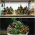 kecilke Natural Aquarium Rocks, 2-6 inches Dragon Stone for Aquariums and Tank Decoration, 10LB