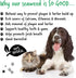 BUGALUGS 70g 100% (70g) Plaque Off Remover For Dog Teeth Bad Breath Natural | Plaque Off Dogs No Need For Dog
