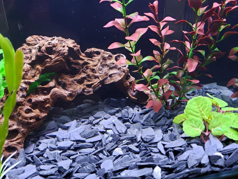 Small World Slate & Stone Aquarium Gravel, 6lbs Natural Substrate for Aquascaping Freshwater and Saltwater