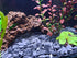 Small World Slate & Stone Aquarium Gravel, 6lbs Natural Substrate for Aquascaping Freshwater and Saltwater