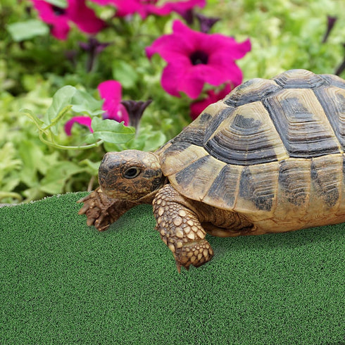 jojofuny Artificial Grass Turf, Aquatic Grass Lawn for Pet, Turtle Basking Ramp, Simulation Grass for Fish Tank Reptile