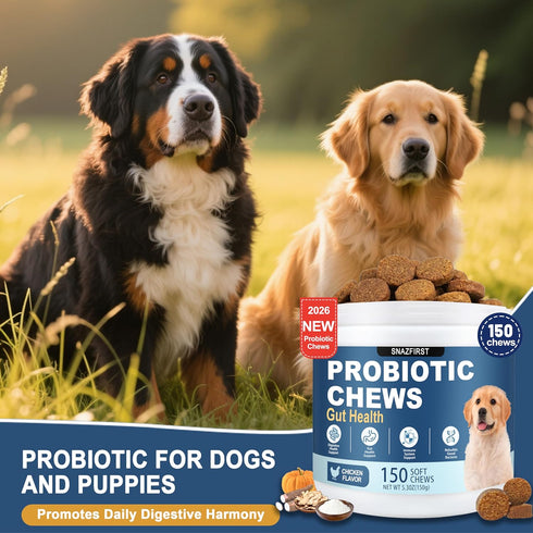 SnazFirst Immune 150 Probiotics for Dogs, Dog Probiotics Chews for Digestive Health & Gut Health, Improve