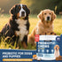 SnazFirst Immune 150 Probiotics for Dogs, Dog Probiotics Chews for Digestive Health & Gut Health, Improve