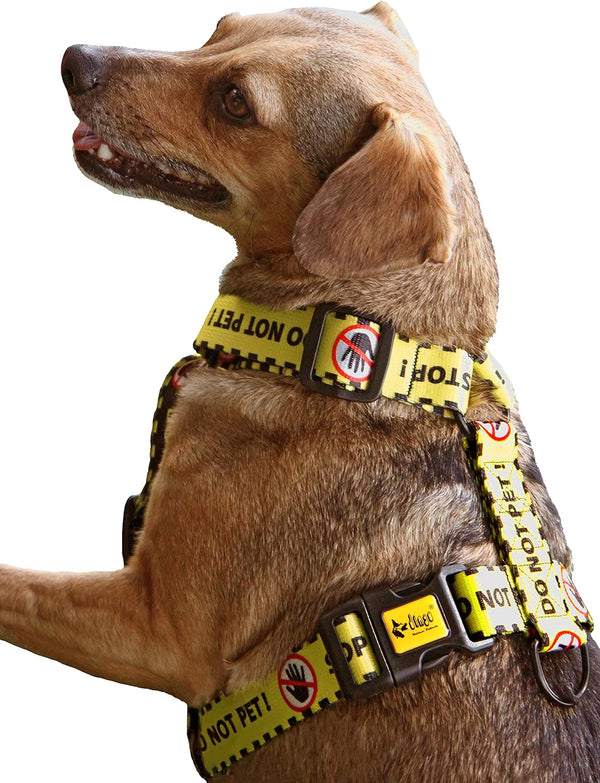 Dingo Dog Harness Do Not Pet Vest for Puppies, Dog in Training, Working Dog, Service Dog, Emotional Support Dog, Medium