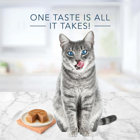 3-oz (Pack 24) Blue Buffalo Tastefuls Natural Pate Wet Cat Food, Chicken Entre cans