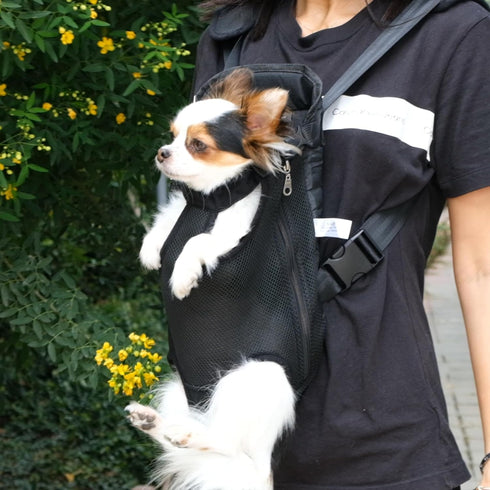 Mr. Pen Adjustable Pet Dog Carrier Backpacks - Hiking Travel Backpack for Dogs, Puppy Front Carrier