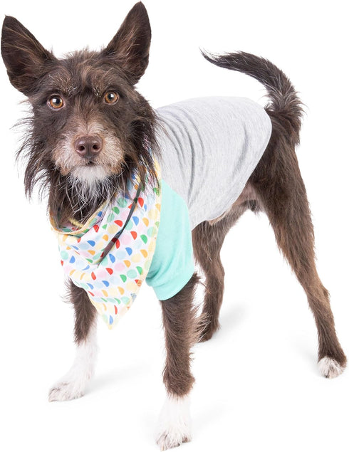 The Dodo Dog Bandana & Colorblock Tee Pet Apparel Set, Extra Small Size; Grey, Green & White Dog Tshirt, Matching Pet