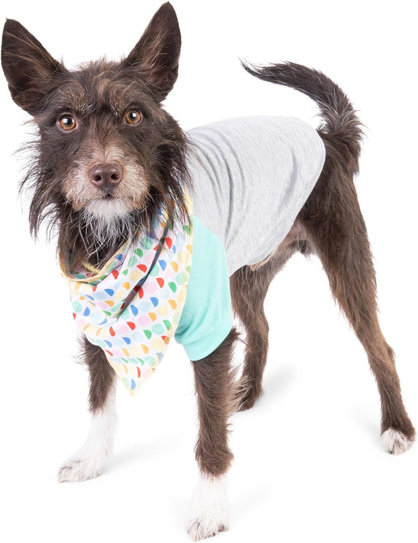 The Dodo Dog Bandana & Colorblock Tee Pet Apparel Set, Extra Small Size; Grey, Green & White Dog Tshirt, Matching Pet