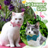 4 Pieces Cat Bow Tie Collar with Bell, Breakaway Comfortable Velvet Safety Pet Collar for Kittens and Puppies (Small)