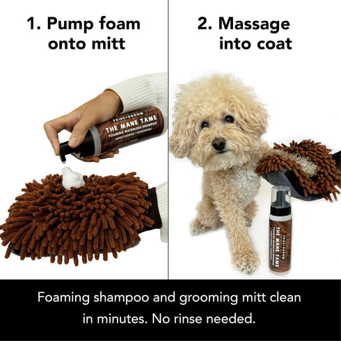 Pride and Groom THE MITT KIT: A Waterless Bath for Dogs - Foaming Dry Shampoo and a Pet Sensitive Glove for a Rinse