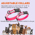BioThane Reflective Dog Collar, Waterproof Heavy Duty Quick Release Collar with Sturdy Buckle in Fun Modern Colors