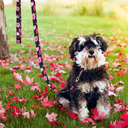 5 ft Black Dog Leash for Medium Breed Dogs, Girl