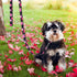 5 ft Black Dog Leash for Medium Breed Dogs, Girl