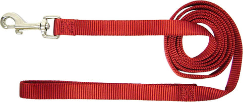 Hamilton 4-Feet Long Single Thick Deluxe Nylon Lead with Swivel Snap, 5/8-Inch - Red