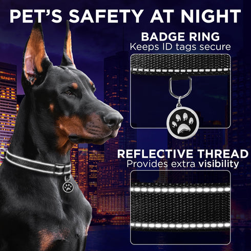 TECEUM Reflective Pet Collar – Basic Nylon Dog Collar – Quick Release Buckle – Black – S – Fits Small, Medium and Large