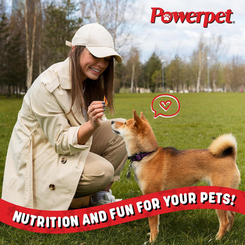 Treats Bully Stick Bites, All Natural Dog Treats, High Protein, Grain-Free, Rawhide-Free, Odorless, 1lb Pack
