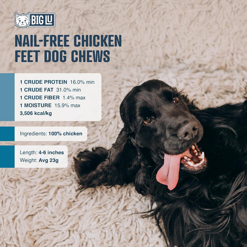 Big Lu – Nail-Free Chicken Feet Dog Chews - 100% Organic, Long Lasting, Rich in Glucosamine (60 Chews)