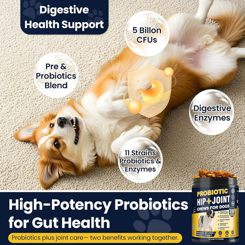 Hip and Joint Supplement for Dogs Dog Probiotics Glucosamine Chondroitin MSM Chew for Dog Arthritis Pain Relief Extend