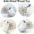 Chinchilla Chinchilla Rotating Natural Wood Chew Toys for Teeth, Interactive Enrichment Toys, Hanging Exercise Toys