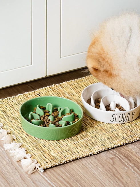 LE TAUCI Ceramic Slow Feeder Dog Bowls for Small Breed, 0.6 Cups Dog Food Dish for Fast Eaters, Green