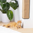 Navaris Sisal Cat Scratcher Mat - 12.6x23.6 Cat Scratch Pad for Wall, Indoor Cats Scratching Protector for Corners
