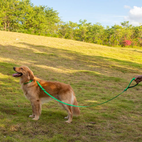 Hyhug Pets Adjustable 6 Feet Leash with Sturdy Nylon and Super Soft Neoprene lined Handle for Medium Large Giant Dogs. (Large Adjustable 6 Feet, Lime Green)