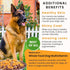 Olewo Original Carrots for Dogs - 1 lb Fiber Dog Food Topper for Digestive Health & Skin Support