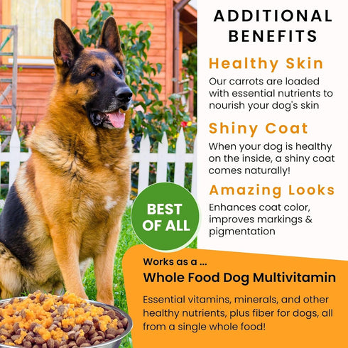 2.2 lbs Olewo Original Carrots for Dogs Fiber for Perfect Poop, Dehydrated Dog Food Toppers for Picky Eaters, Natural
