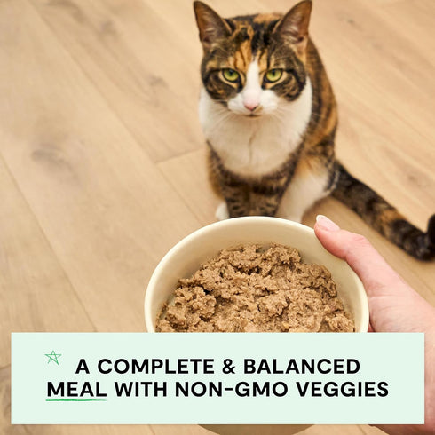 2.8oz 18) Open Farm Canned Cat Food, Pate for Complete & Balanced Nutrition, Grain Free and Legume-Free Wet Cat Food