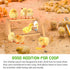 Mini Chick Perch with Mirror, Strong Bamboo Roosting Bar for Coop and Brooder, Training Perch for Baby Chicks, Easy to