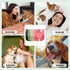 wegreeco Female Dog Diapers, Washable Reusable Pet Puppy Doggie Diapers for Small Medium Large Female Dogs in Heat