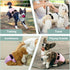 Female Dog Diapers - Premium Reusable Diapers for Doggie in Heat - Highly Absorbent Dog Diapers Female for Pet